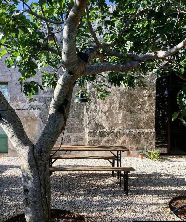 Masseria Celano غروتاليي المظهر الخارجي الصورة