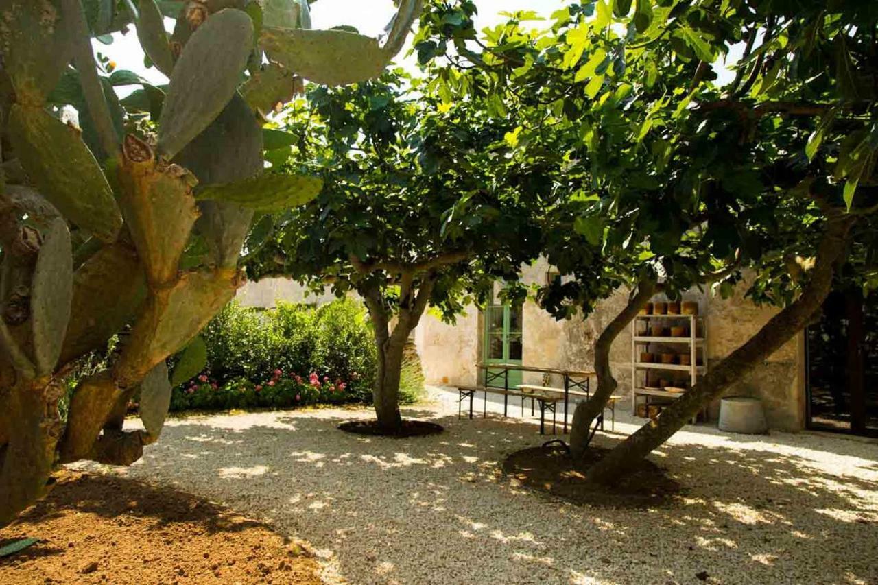 Masseria Celano غروتاليي المظهر الخارجي الصورة